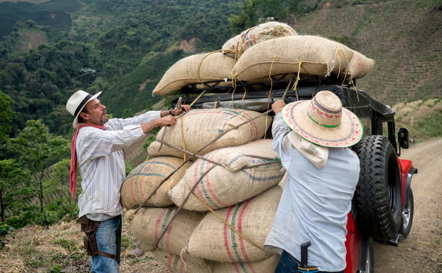 How Colombian Coffee Can Boost Your Productivity